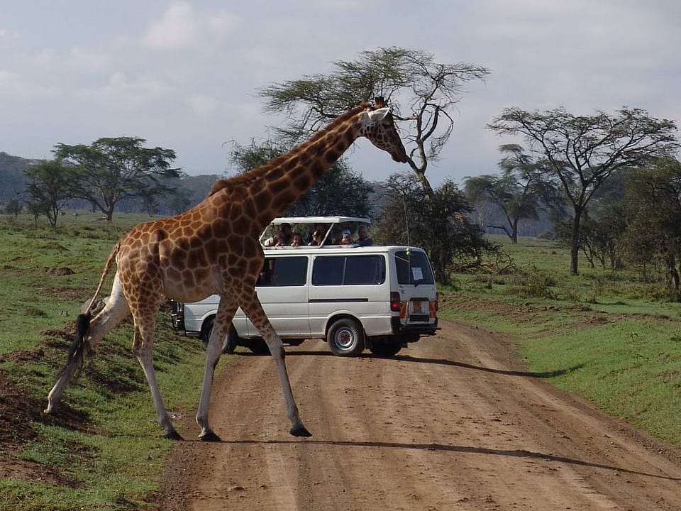 Rwanda photography safari in Akagera national park